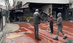 İstanbul'da pitbull köpekler sahibine ve bir kişiye saldırdı