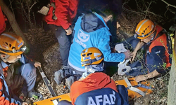 Kocaeli'nde evden bavulunu alarak çıkan yaşlı adam ormanda bulundu