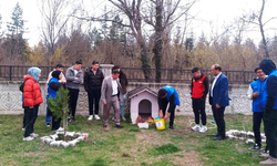 Kütahya'da sokak hayvanları için mama bırakıldı