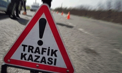 Afyon'da bir otomobil tarım arazisine devrildi: 2 yaralı