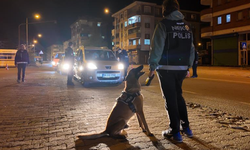Artvin’de narkotik köpeği ‘Pars’ zehir tacirlerine göz açtırmıyor