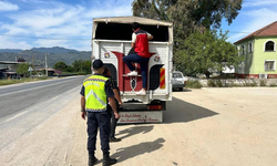 Aydın’da eksik evrakla canlı hayvan taşıyan 2 kişi cezadan kaçamadı