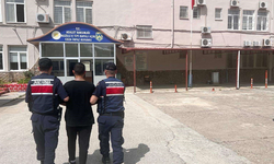Aydın'da jandarmadan aranan şahıslar operasyonu