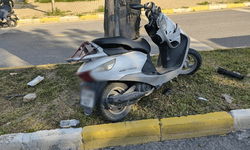 Aydın'da motosiklet sürücüsü ağaca çarptı