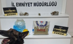 Balıkesir’de zehirli madde operasyonu