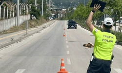 Bilecik'te polis huzur uygulaması gerçekleştirdi