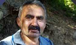 Bolu’da kestiği ağacın altında kalan adam hayatını kaybetti