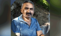 bolu'da kestiği ağacın altında kalan işçi hayatını kaybetti