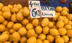 Bozuk paraya alınırdı şimdi lüks oldu! Eskişehir’de tanesi 12,5 TL