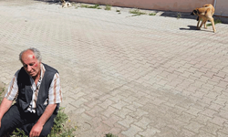 Burdur'da yaşlı adam başıboş köpeklerin saldırısına uğradı