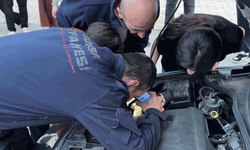 Bursa'da otomobilin motoruna giren kedi ekiplerin yardımıyla kurtarıldı