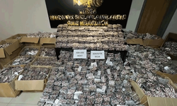 Bursa'da zehire dev darbe! 540 tutuklama