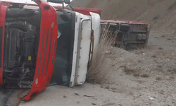 Erzincan'da beyaz eşya taşıyan tır devrildi