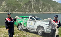 Erzurum'da jandarma kaçak avcıları yakaladı