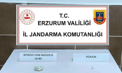 Erzurum'da jandarmadan yasaklı madde operasyonu