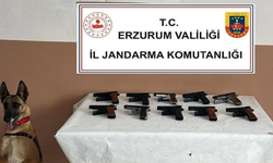 Erzurum'da oltu’da 10 adet ruhsatsız tabanca ele geçirildi