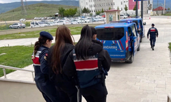Eskişehir dahil 5 ilde baskın: Sahte araç kiralama çetesi çökertildi