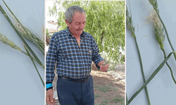 Eskişehir’de zirai don alarmı: “Verim yarıdan fazla düştü”