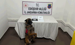 Eskişehir’in iki ilçesinde zehir operasyonu: 3 gözaltı