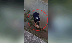Hatay'da su kanalında mahsur kalan kediye itfaiye yardım etti