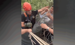 Kahramanmaraş'ta kuyuya düşen keçi itfaiye tarafınca kurtarıldı