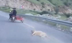 Kahramanmaraş'ta telef olduğu iddia edilen köpeği motosikletle sürüklediler