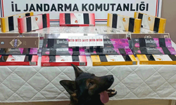 Kayseri'de kaçak sigara operasyonu: 700 paket ele geçirildi