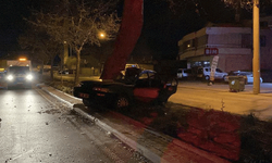 Konya'da sürücü ağaca çarptı