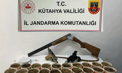 Kütahya'da jandarmadan kenevir operasyonu