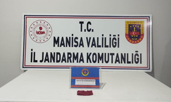 Manisa’da şüpheliden kağıda emdirilmiş bonzai çıktı