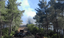 Muğla'da orman yangınına havadan ve karadan müdahale