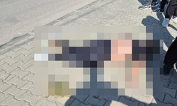Muğla'da trafik kazası: 1 ölü