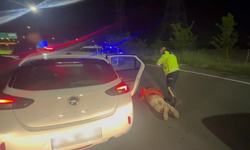 Sakarya'da jandarmadan 3 ayrı zehirli madde operasyonu