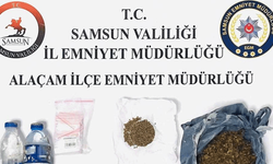 Samsun'da polis şişe içinde sıvı bonzai ele geçirdi