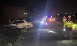Şanlıurfa'da koyun otlatırken hayatını kaybetti