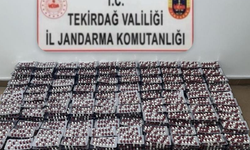 Tekirdağ'da jandarmadan ruhsatsız silah ve madde operasyonları