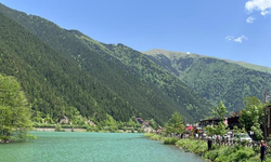 Trabzon'da korkunç olay: Su içmek isterken dereye düşen çocuk kayboldu
