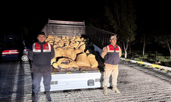 Van'da kaçak avlanmış 3 ton balık ele geçirildi
