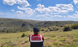 Yozgat'ta jandarmadan biyokaçakçılık hakkında denetim
