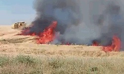 Adıyaman'da buğday tarlasında korkutan yangın