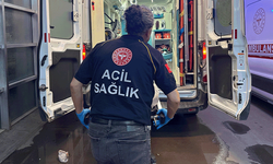 Adıyaman’da korkutan olay! 3 yaşındaki çocuğu akrep soktu