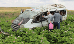 Amasya'daa kaza: Minibüs tarlaya uçtu! 1 ölü 4 yaralı