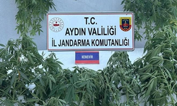 Aydın’da jandarmada madde operasyonu: 16 gözaltı
