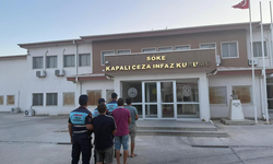 Aydın'da kaçak kazı yaparken suçüstü yakalandılar