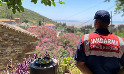 Aydın’da orman yangınlarına dikkat çekildi