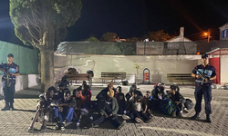 Aydın'da zeytinlikteki 32 düzensiz göçmen yakalandı