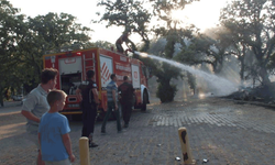 Balıkesir'de ot yangını paniğe neden oldu