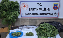 Bartın'da jandarmadan zehirli madde operasyonu: 2 gözaltı