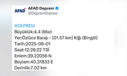 Bingöl'de 4,4 büyüklüğünde deprem