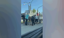 Bursa'da kaçan kurbanlıklar trafiği alt üst etti